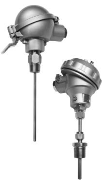 Thermocouple and RTD sensor assembly with connection head